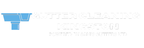 Gutter Cleaning Kingston