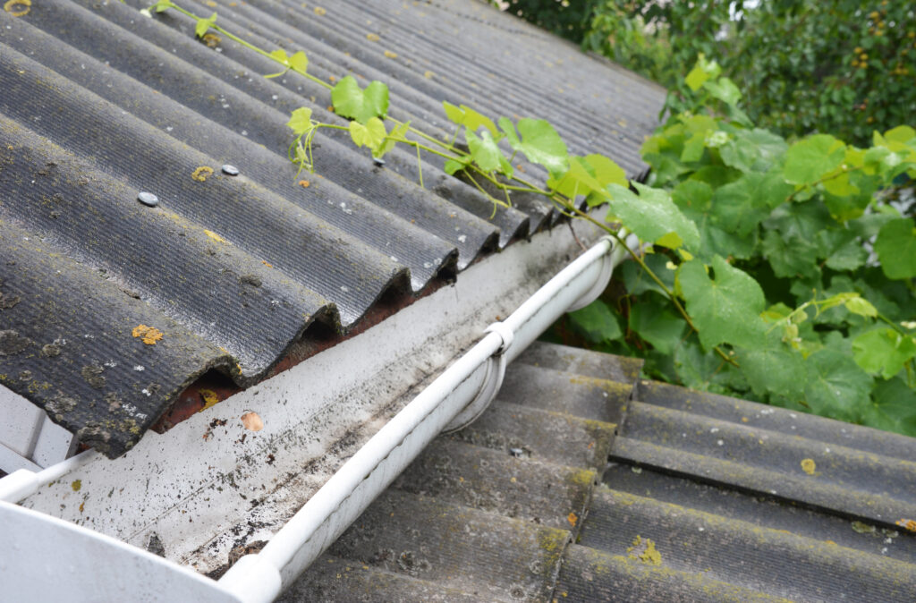 Newley cleared gutter